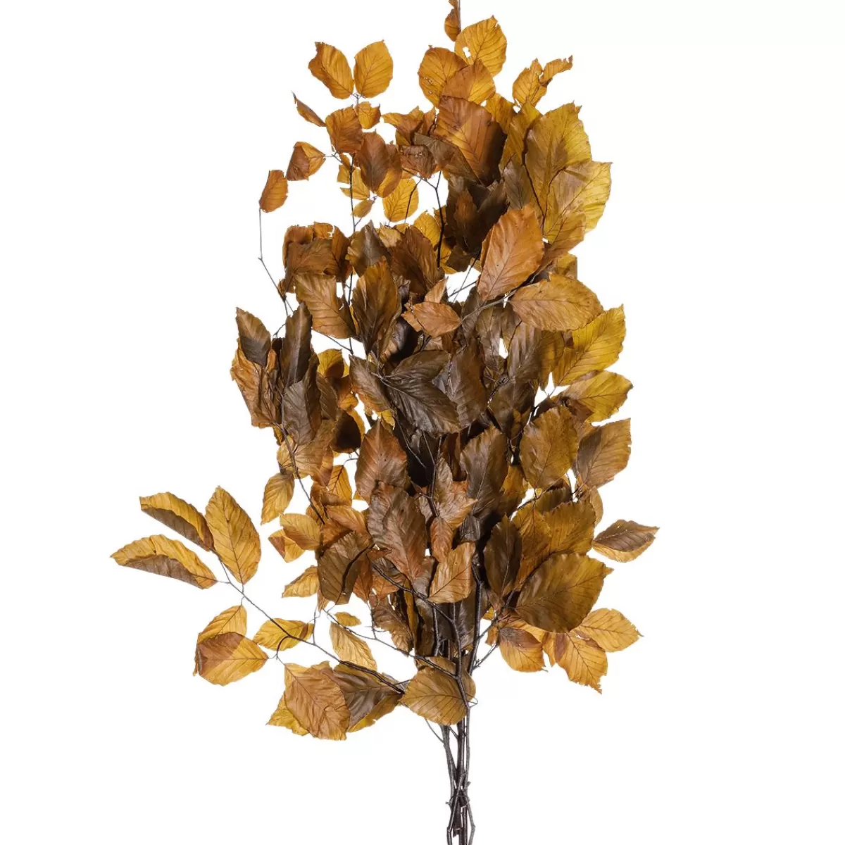 DecoWoerner Real Beech Twigs, Yellow - Orange 80 Cm