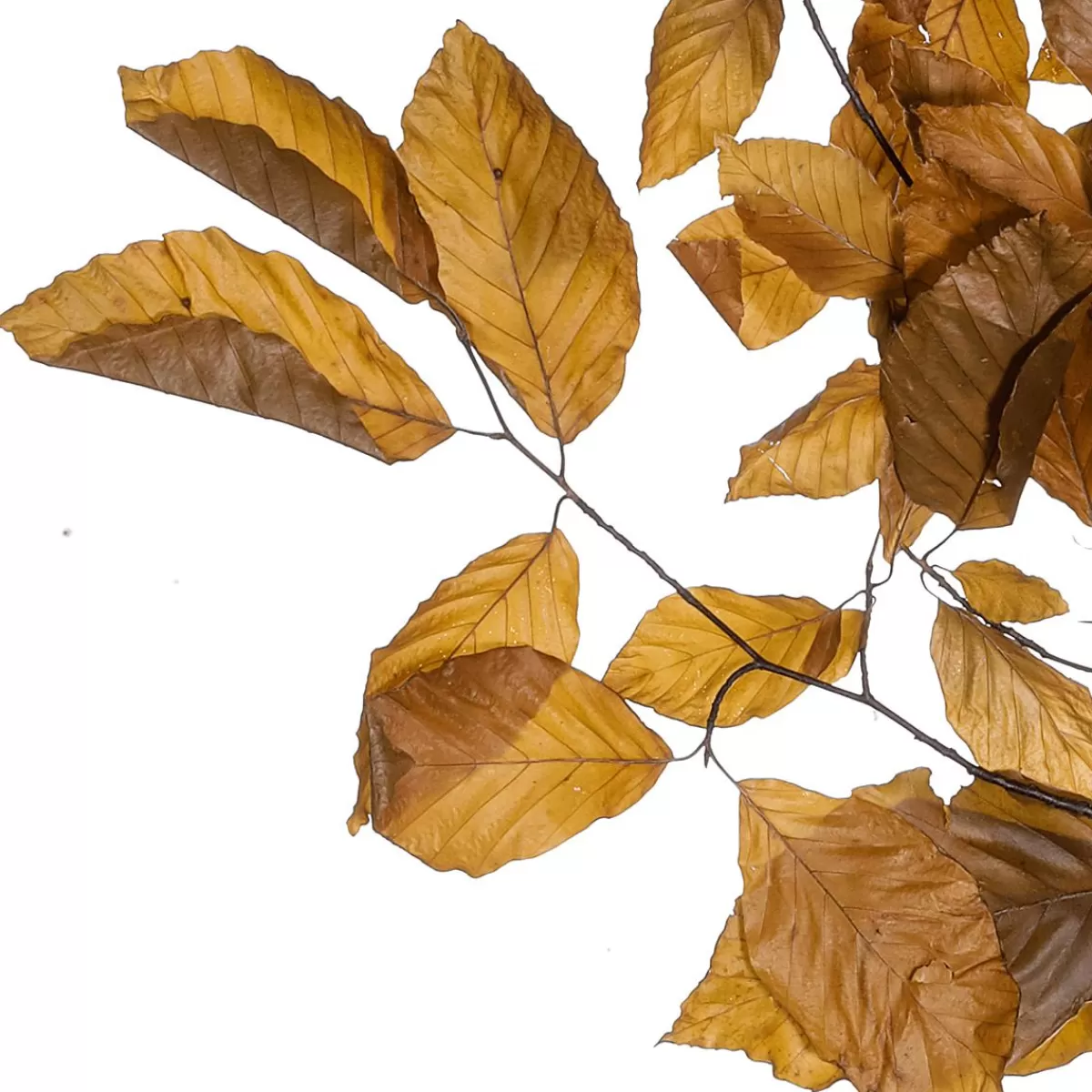 DecoWoerner Real Beech Twigs, Yellow - Orange 80 Cm