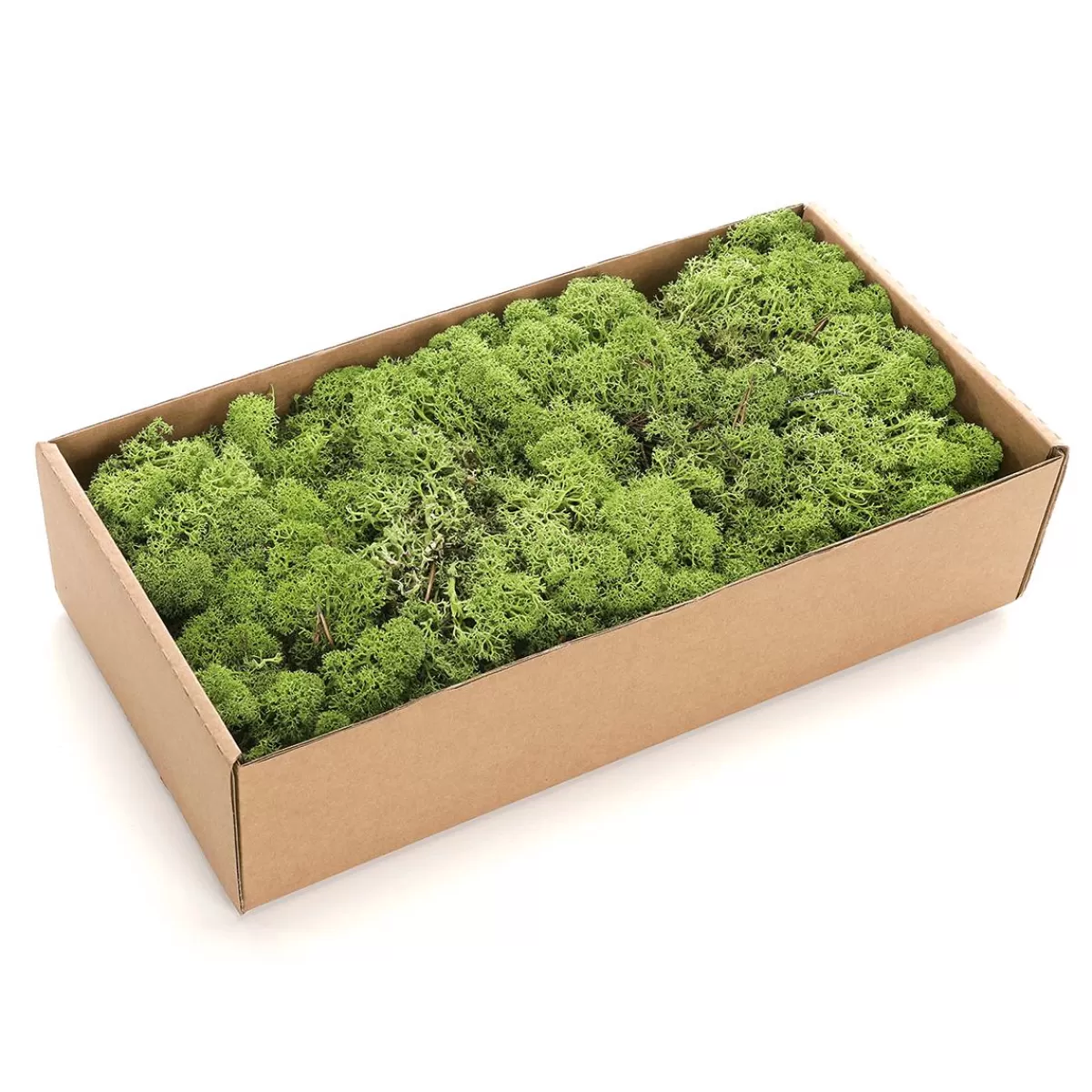 DecoWoerner Real Natural Moss 500 G