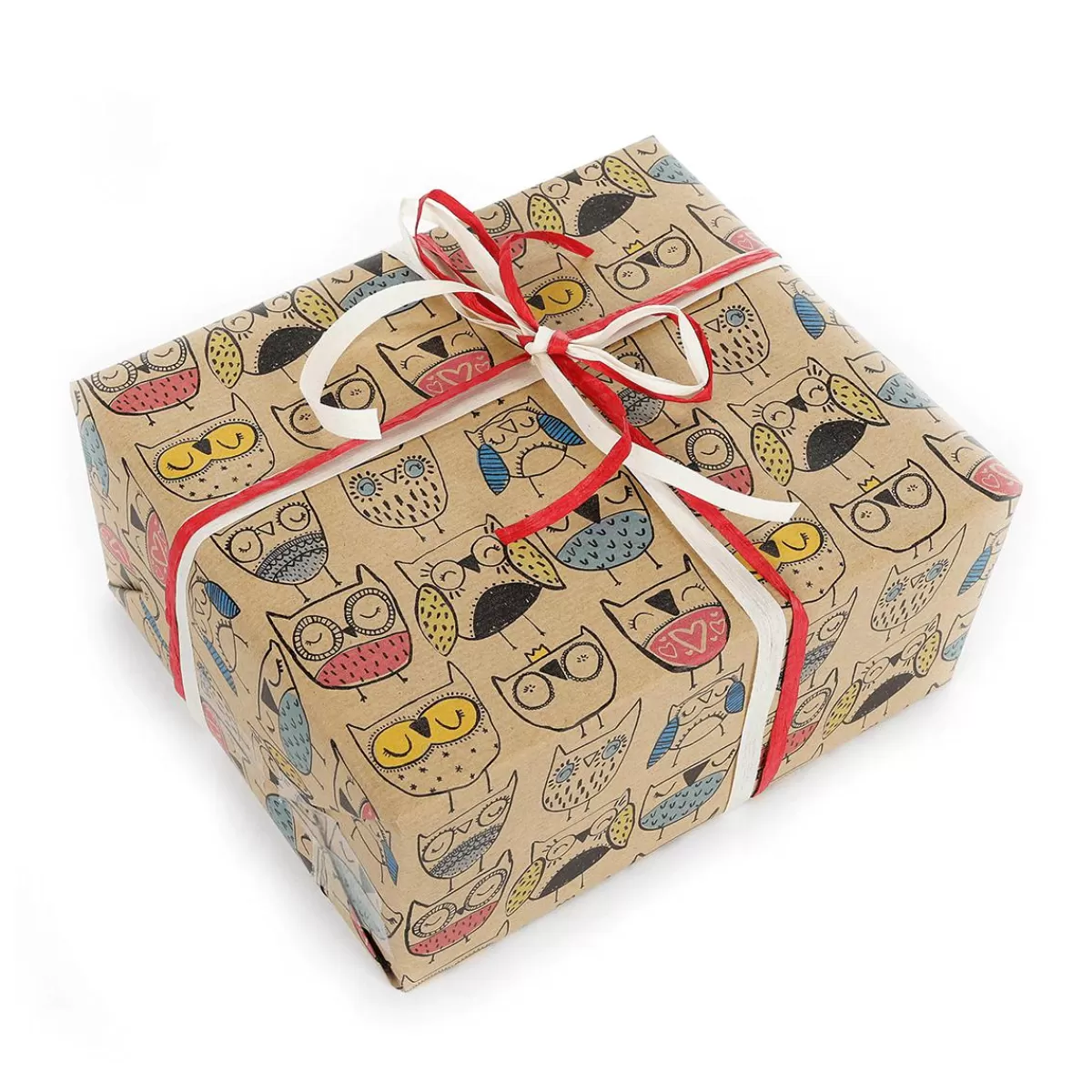 DecoWoerner Recycled Kraft Paper With Colourful Owls - 50 M Wrapping Paper Roll