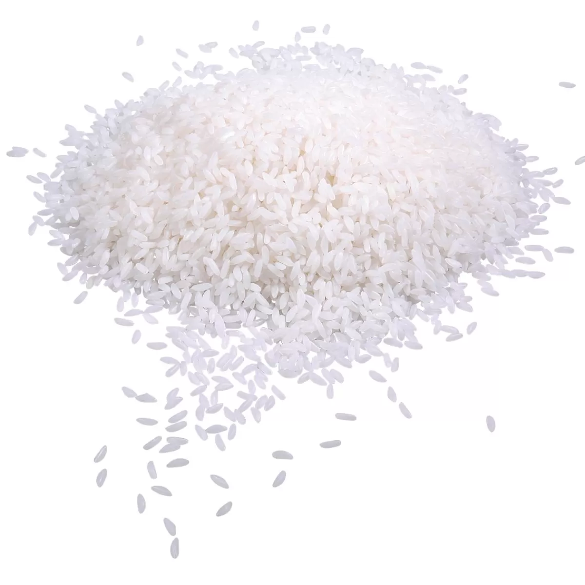 DecoWoerner Rice Food Replica, 500 G