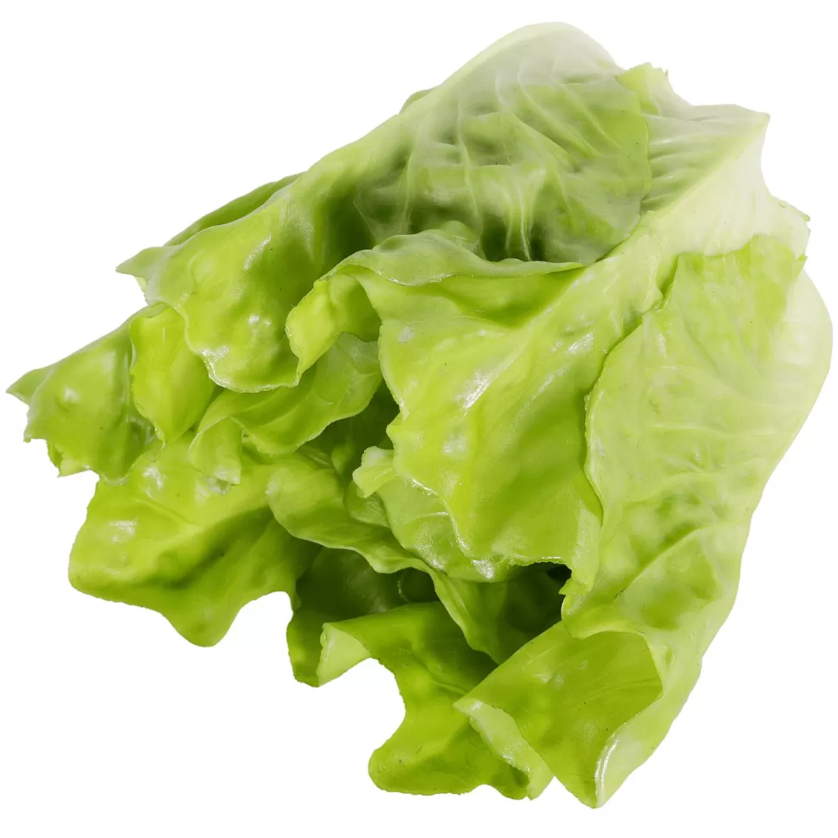 DecoWoerner Romaine Lettuce Food Replica