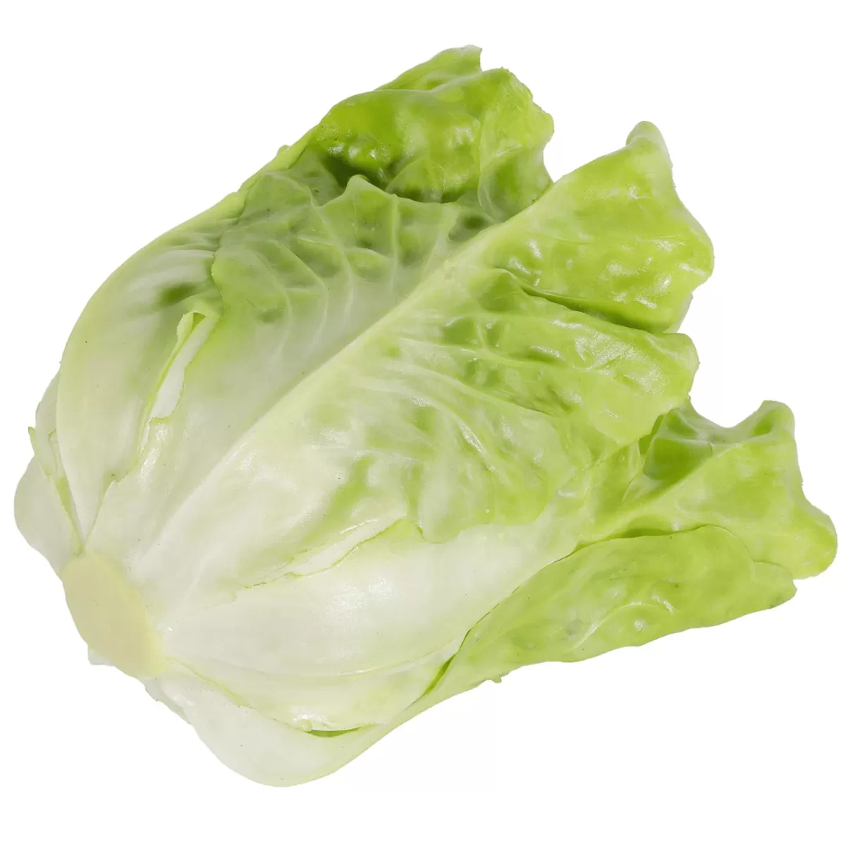 DecoWoerner Romaine Lettuce Food Replica