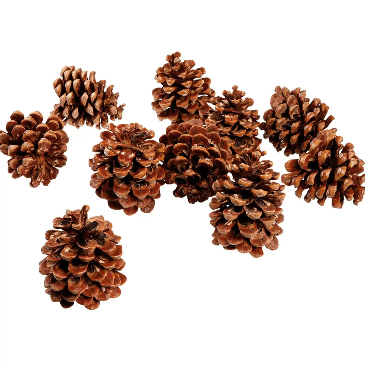 DecoWoerner Scatter Article Stone Pine Cones, 10 Pcs