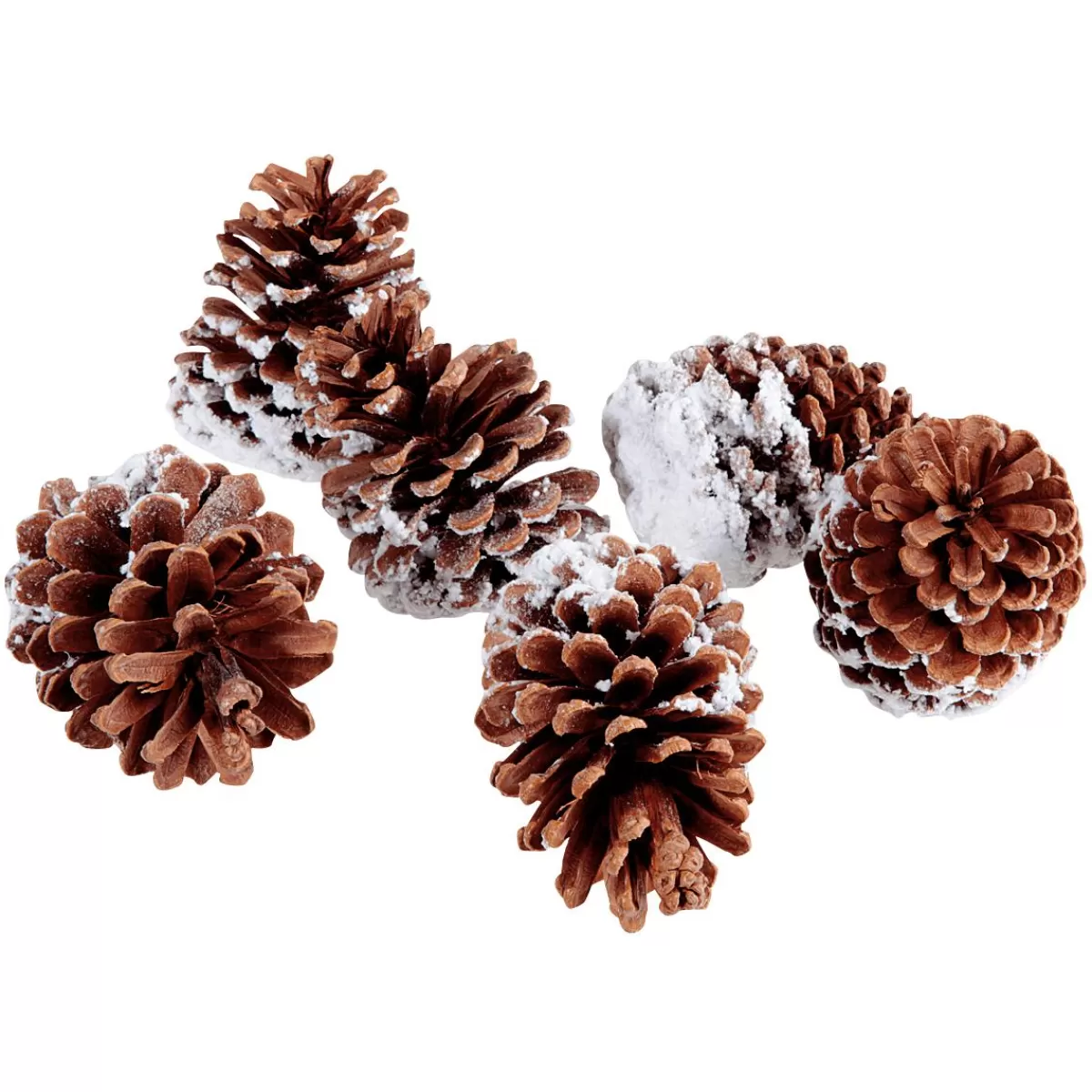 DecoWoerner Scatter Ware Pine Cones, 6 Pcs