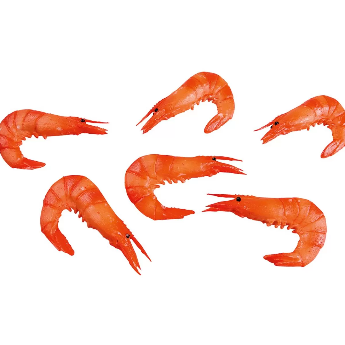 DecoWoerner Shrimp Food Dummies, Package 6 Pieces