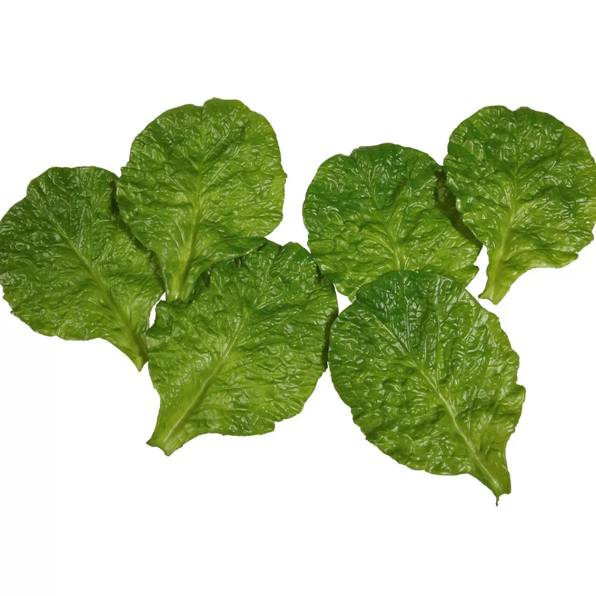 DecoWoerner Spinach Leaves Food Replica, 6 Pcs