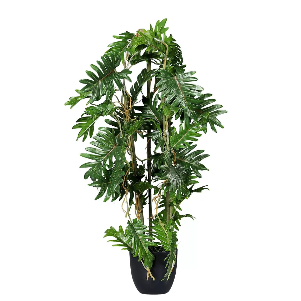 DecoWoerner Split Philodendron In Black Pot