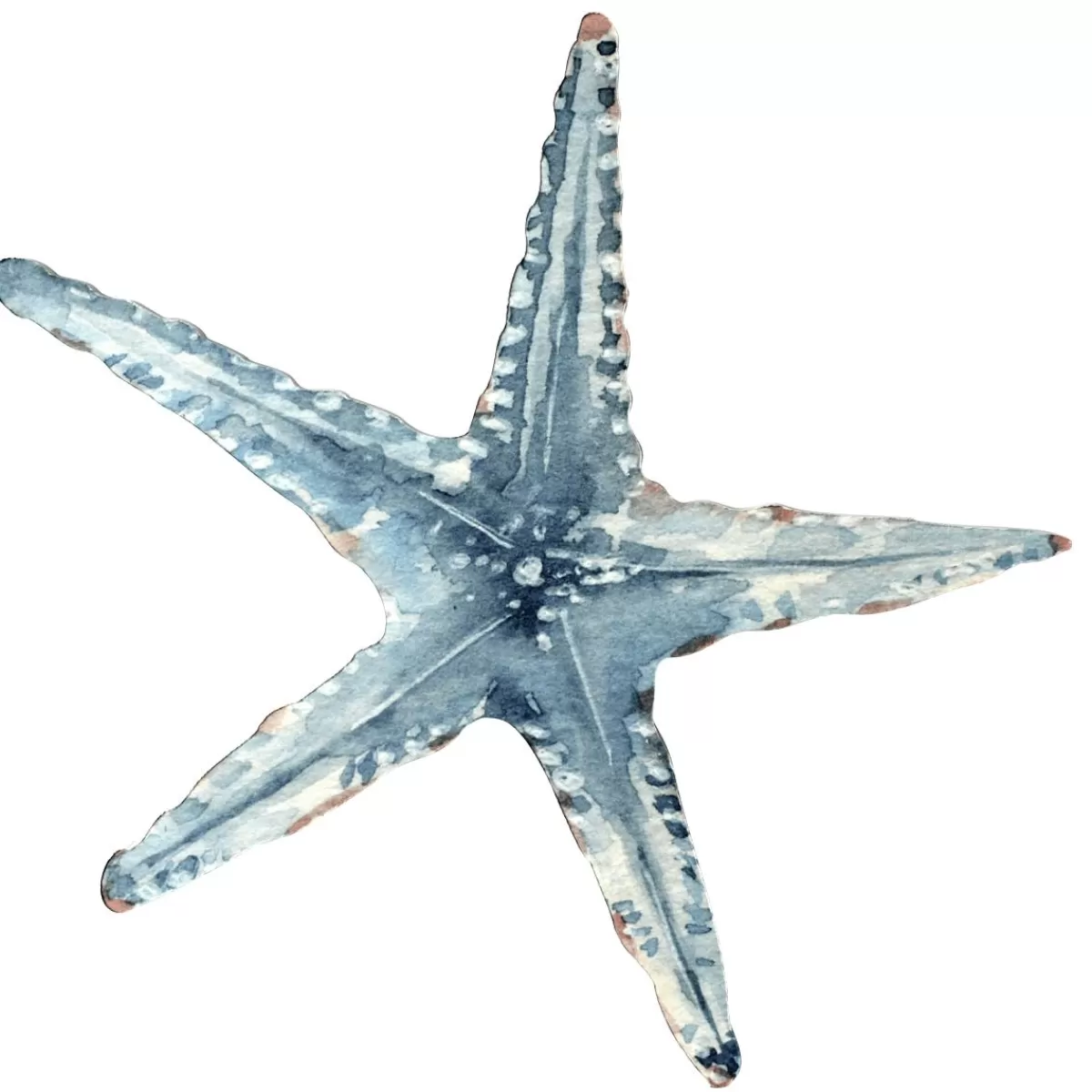 DecoWoerner Starfish Display, 35 X 33 Cm