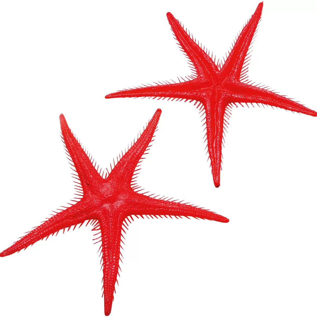 DecoWoerner Starfish Replica, 2 Pcs