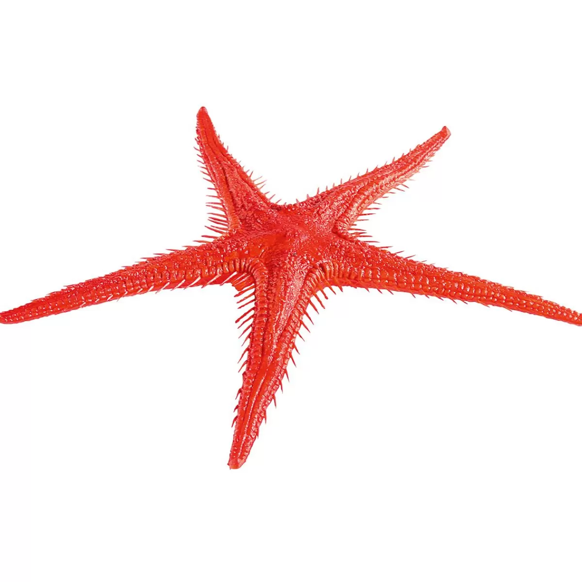 DecoWoerner Starfish Replica, 2 Pcs