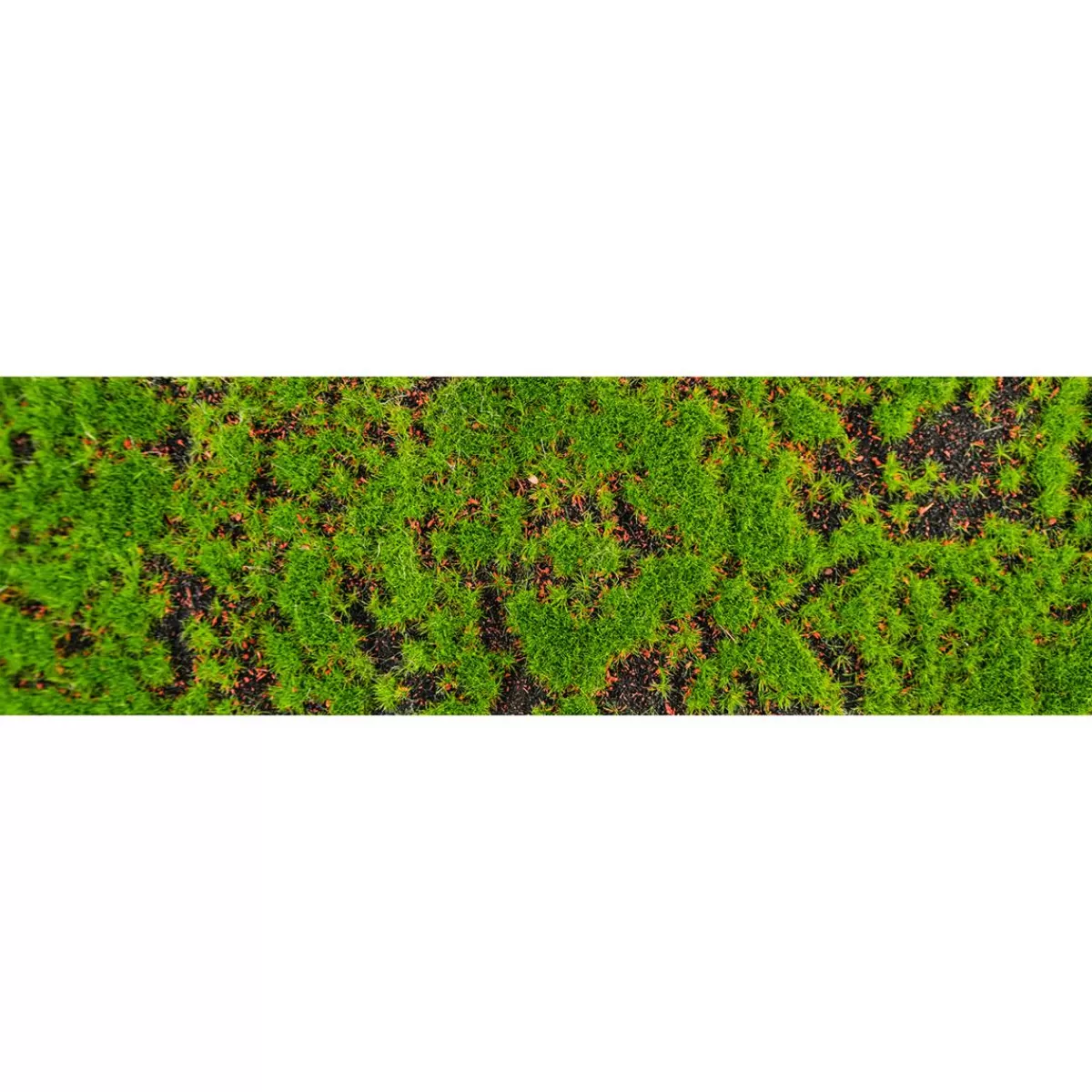 DecoWoerner Table Runner "Moss Carpet" 1 Meter