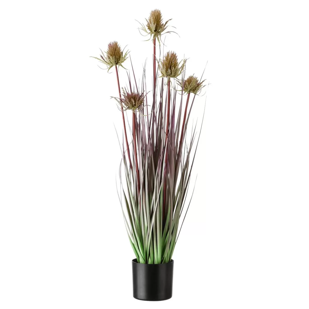 DecoWoerner Thistle Artificial Grass In Black Pot 69 Cm 17 Cm Ø