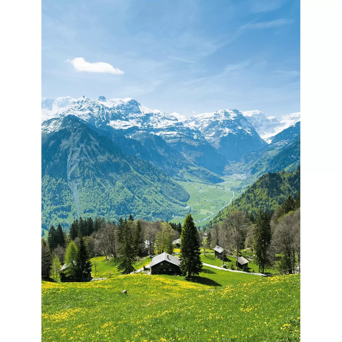 DecoWoerner XL Fabric Banner "Alpine Meadow With Mountain Pasture" Made Of Flame Retardant Flag Fabric 150 X 200 Cm