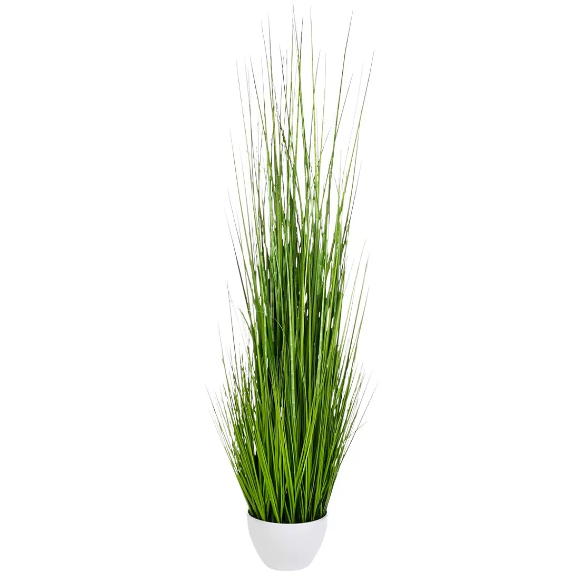 DecoWoerner XXL Deco Tiger Grass In White Pot 150 Cm