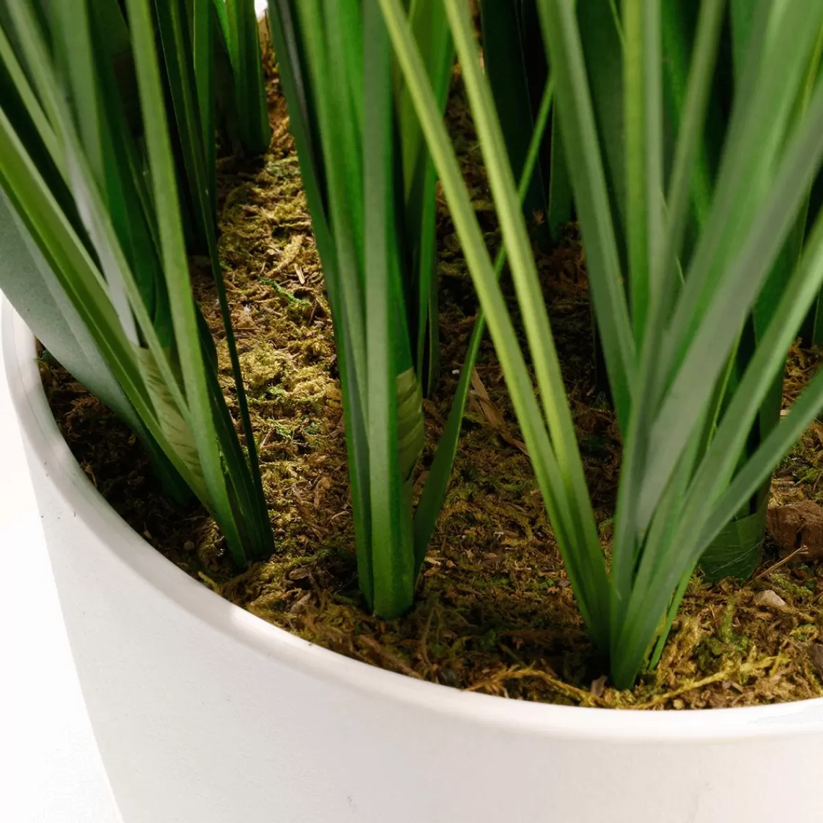 DecoWoerner XXL Deco Tiger Grass In White Pot 150 Cm