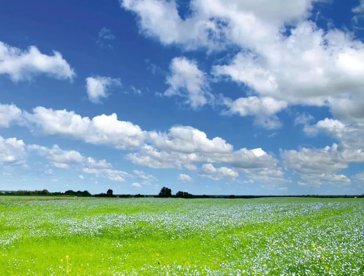 DecoWoerner XXL PVC Banner "Meadow And Cloudy Sky" Made Of Flame-retardant Truck Tarpaulin 250 X 330 Cm